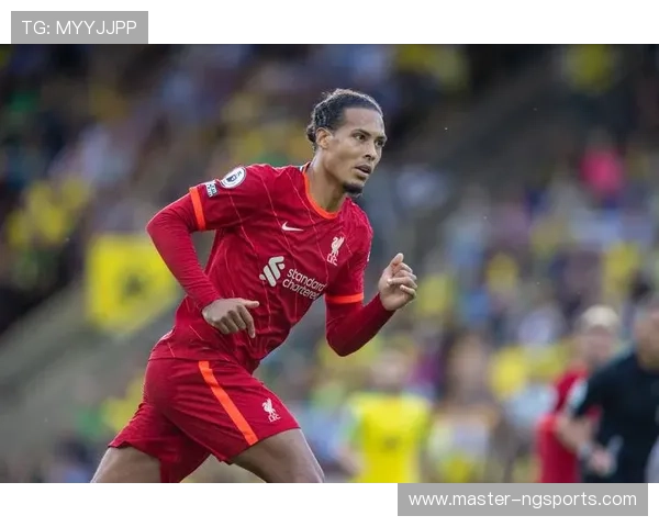 从英超沉浮看诺维奇俱乐部的荣耀与重生之路历史传承与未来蓝图探索