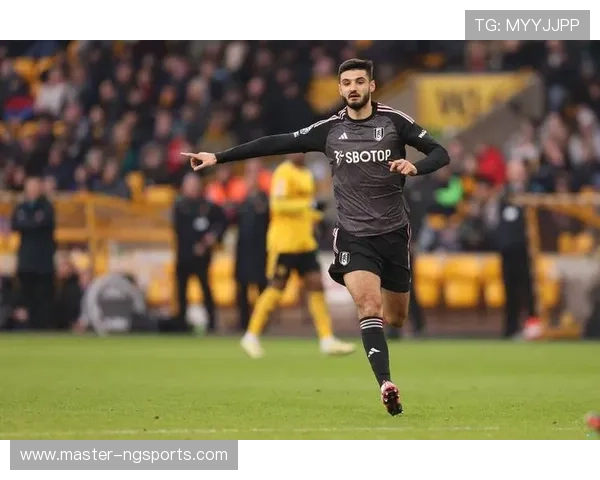 富勒姆足球俱乐部发展历程与未来展望解析